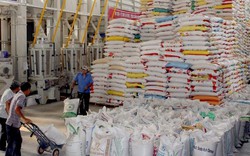 Việt Nam bán được 8,2 triệu tấn gạo