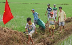 Kế hoạch nhỏ: Từ ủ phân xanh đến... nuôi gà