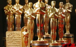 Bộ phim nào thống trị đề cử Oscar 2014?