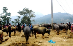 Phiên chợ nguyên sơ ở vùng cao