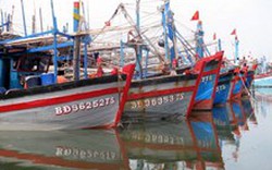 Phú Yên: Khởi công xây dựng cảng cá Phú Lạc