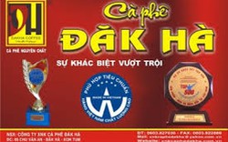 Kon Tum: Cà phê Đăk Hà đạt chuẩn quốc tế