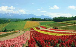 Huyền thoại về  xứ tuyết Hokkaido