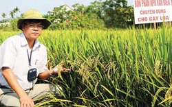 “Chung mâm cơm” với nhà nông