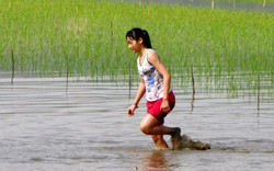 Clip: Nam, nữ nông dân chạy đua dưới ruộng ngập bùn nước