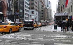 New York trong tình trạng khẩn cấp vì bão tuyết