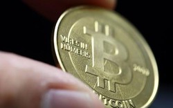 Tiền ảo Bitcoin mất giá 20%, ngừng tất cả yêu cầu rút tiền