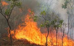 Lào Cai lại xảy ra 2 vụ cháy rừng liên tiếp