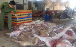 Đồng Nai tiêu hủy 650kg thịt heo thối tại lò mổ