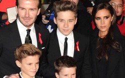 David Beckham: Tự hào vì các con đều… sát gái