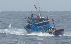 Một ngư dân bị thương nặng khi đánh bắt trên vùng biển Hoàng Sa