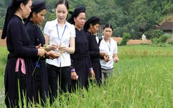 Lần đầu tiên ngân hàng nước ngoài cho vay vốn trồng lúa