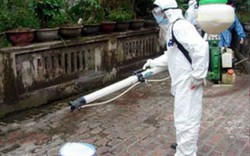 Thành lập 8 đội ứng phó nhanh khi phát hiện virus cúm H7N9