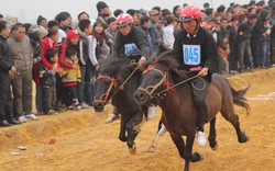 Xem đua ngựa  Mông ở Thủ đô