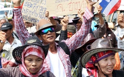 Nông dân Thái Lan biểu tình đòi nợ