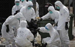 Trung Quốc: H7N9 lây lan nhanh ở tỉnh giáp Việt Nam, 1 người chết 