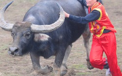 Những ngày… “không đêm”