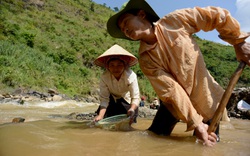 Đãi “cơm” dưới suối Mường Kim