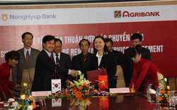 Agribank và NongHyup Bank hỗ trợ lao động tại Hàn Quốc