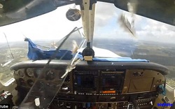 Kinh hoàng chim đâm thủng kính máy bay, lao vào mặt phi công