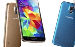 Samsung nói gì về thiết kế &#34;tẻ nhạt&#34; của Galaxy S5?