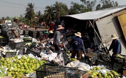 Quảng Nam: Xe chở xoài đổ, người dân giúp tài xế gom hàng