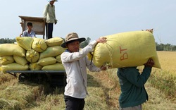 Sớm khai thông  tín dụng cho tam nông