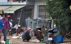 An Giang: Thưởng nóng cho người báo tin cúm gia cầm