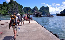 Khách du lịch đến Quảng Ninh tăng 8% 