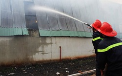 Đăk Lăk: Cháy rụi kho chứa hơn 500 tấn giấy vụn
