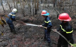 TPHCM: Liên tục hai vụ cháy lớn tại huyện Bình Chánh