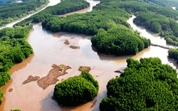 26,7 triệu euro để quản lý rừng bền vững