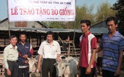 An Giang: Tặng bò sinh sản cho 69 hộ nghèo 