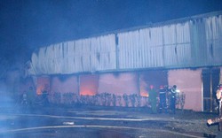 Lâm Đồng: Cháy dữ dội Công ty Rừng Hoa Đà Lạt