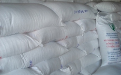 Hậu Giang: Bảo quản 1.960 tấn lúa giống bằng túi yếm khí