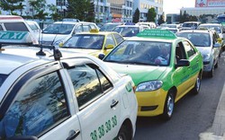 Đề nghị cấp phù hiệu riêng cho taxi Hà Nội