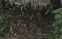 Thổ dân Amazon giật mình hoảng hốt khi lần đầu nhìn thấy máy bay 
