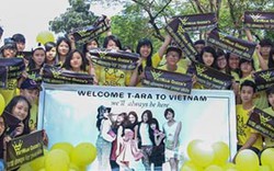 Fan Việt phấn khích nhảy flashmob đón T-ara tới Việt Nam