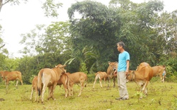 Tiên Sơn &#40;Quảng Nam&#41;: Xã nghèo “thay da đổi thịt”