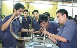 Bằng ĐH mất giá - Bài 2: Trường dạy chay, nhà tuyển dụng chạy dài 