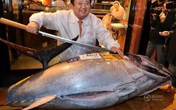 Cá ngừ &#34;khủng&#34; 180kg trúng đấu giá 750 triệu đồng
