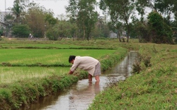 Chuyện lạ ở làng “thương vợ&#34;, tỉnh Thừa Thiên Huế