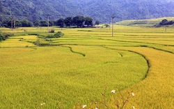 Bốn mùa nơi biên cương quê tôi