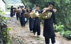 Gánh lễ ăn hỏi độc đáo của người Tày ở Quảng Ninh