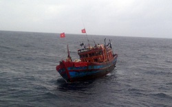 Cứu nạn tàu cá cùng 13 ngư dân giữa sóng to gió lớn