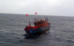 Cứu hộ 8 ngư dân trên tàu cá bị nạn ở Hoàng Sa