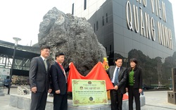 Khối than kíp lê khổng lồ đạt kỷ lục lớn nhất Việt Nam