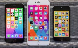 iPhone 6 mini sẽ ra mắt trong năm 2015