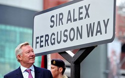 Nghỉ hưu, Sir Alex vẫn “hái tiền” đều đều từ M.U