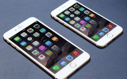 iPhone 6/6 Plus giúp Apple &#34;ngồi trên đống tiền&#34;